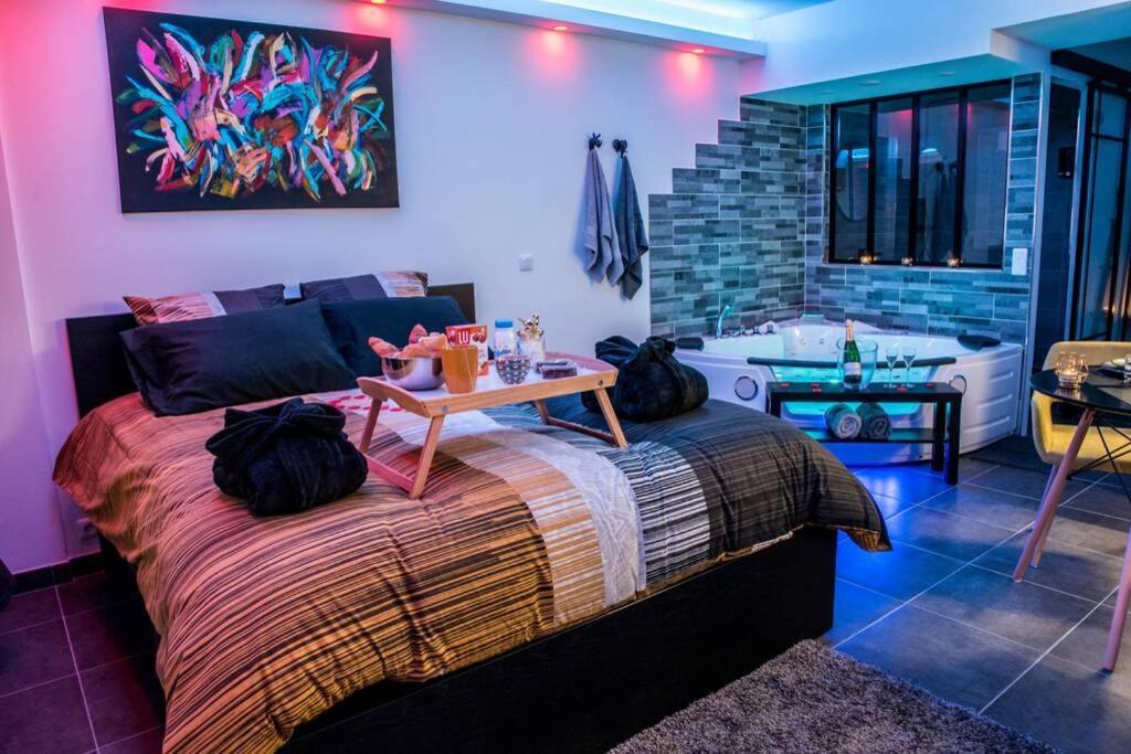 Le Spamoureux Bien-etre A Deux Apartment Boussy-Saint-Antoine